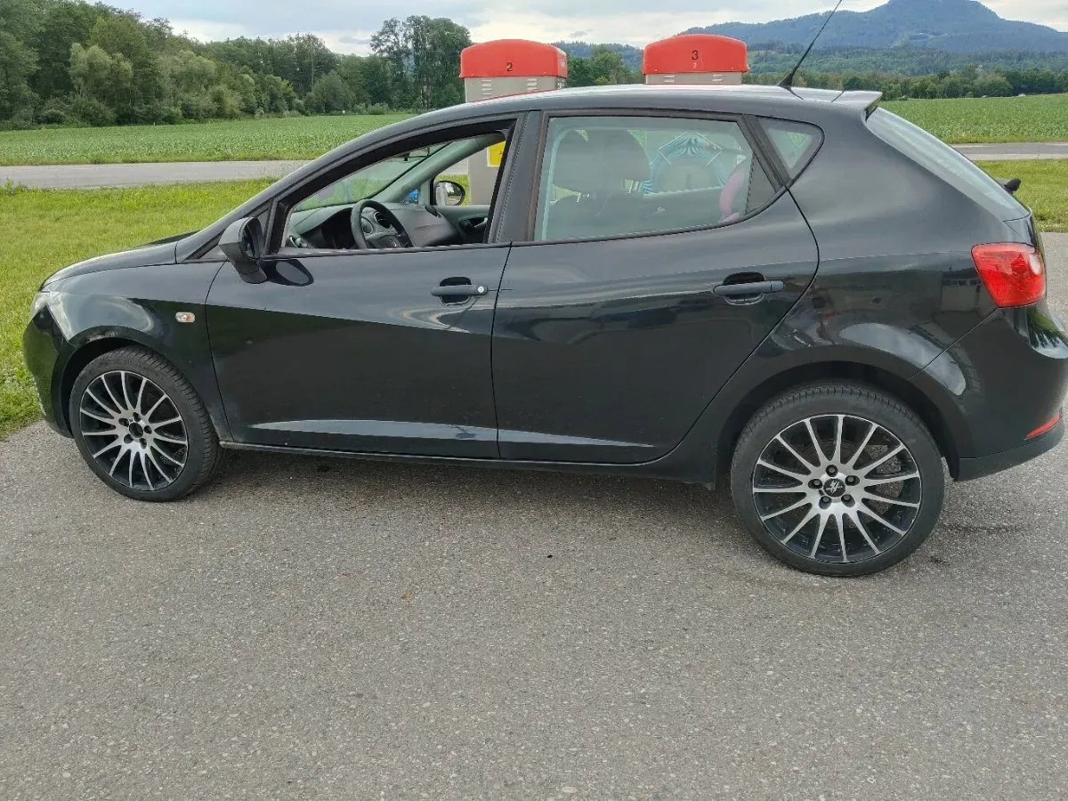 Seat Ibiza 2011 photo 3