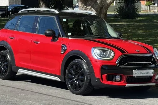 Mini Countryman