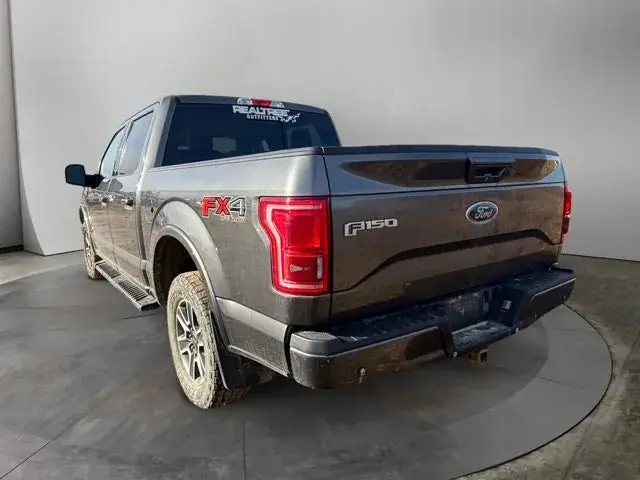 Ford F-150 2015 photo 3
