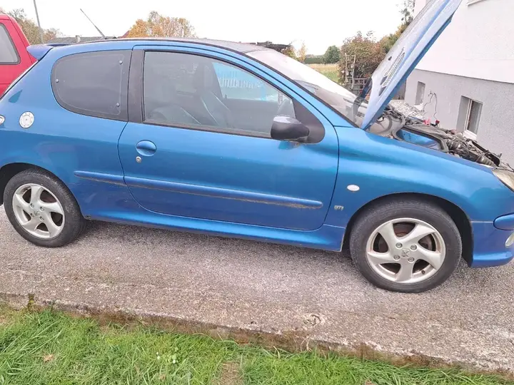 Peugeot 206 2004 photo 3