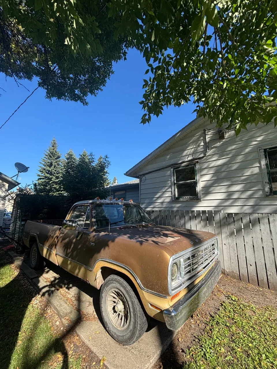 Dodge D100 1975 photo 3