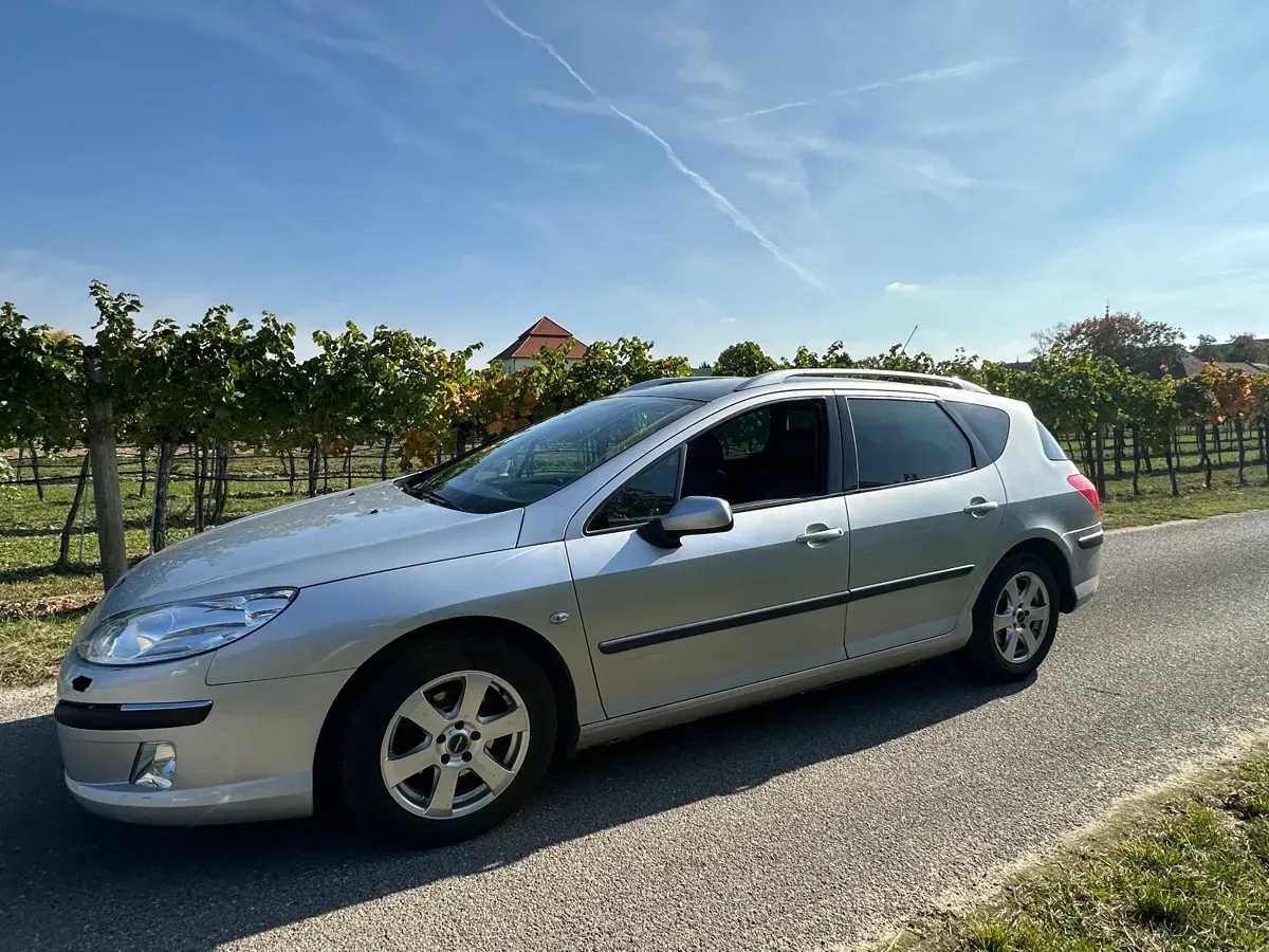 Peugeot 407 2005 photo 2