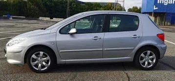 Peugeot 307 2007 photo 2