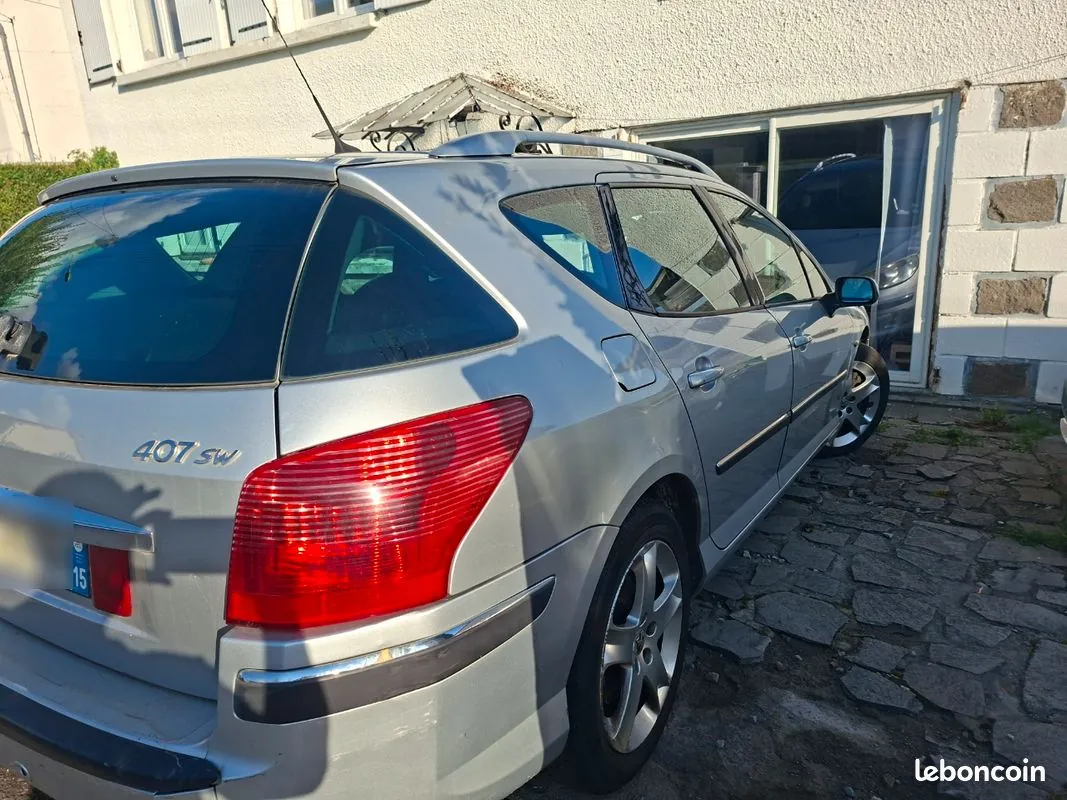 Peugeot 407 2007 photo 2
