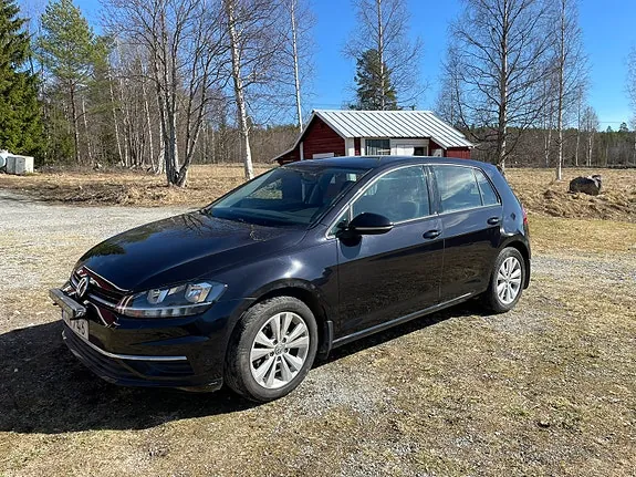 Volkswagen Golf Vii 2019 photo 3
