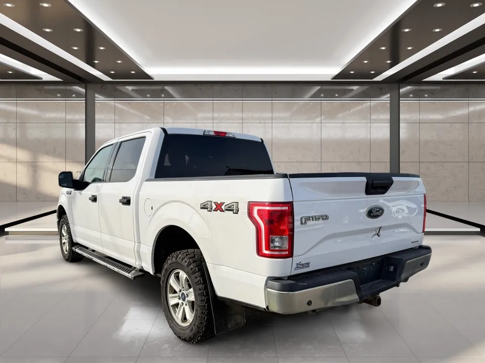 Ford F-150 2016 photo 3
