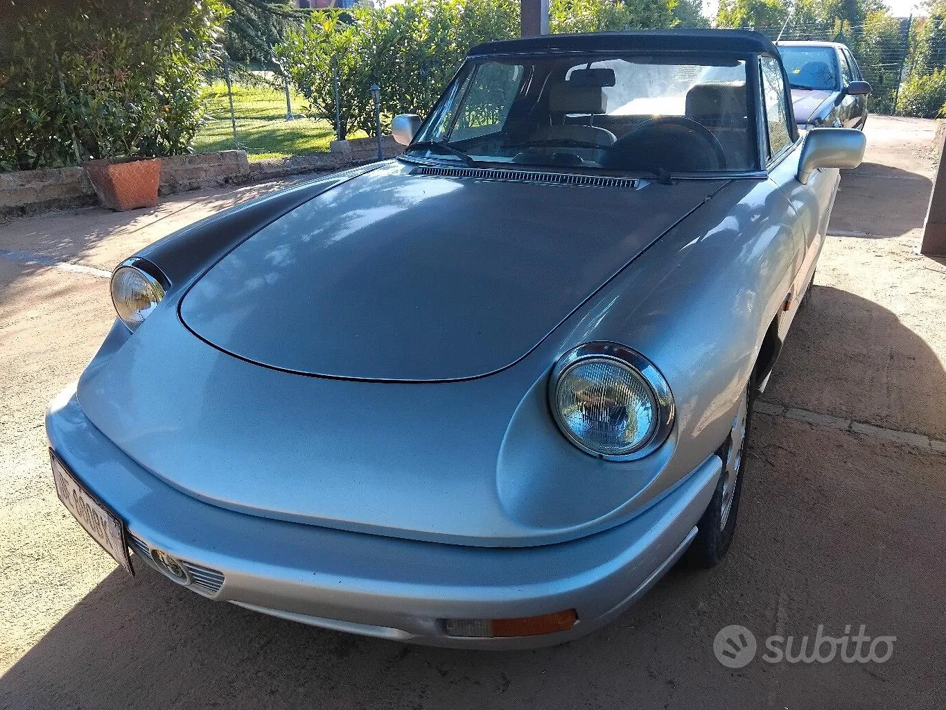 Alfa Romeo Spider