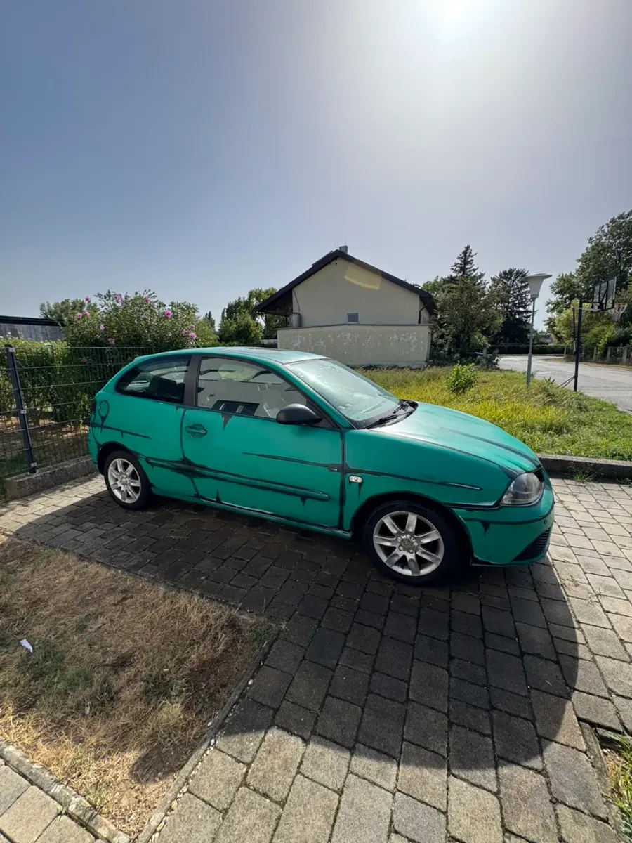 Seat Ibiza 2005 photo 3