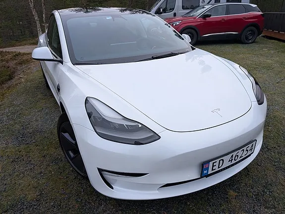 Tesla Model 3 2021 photo 3