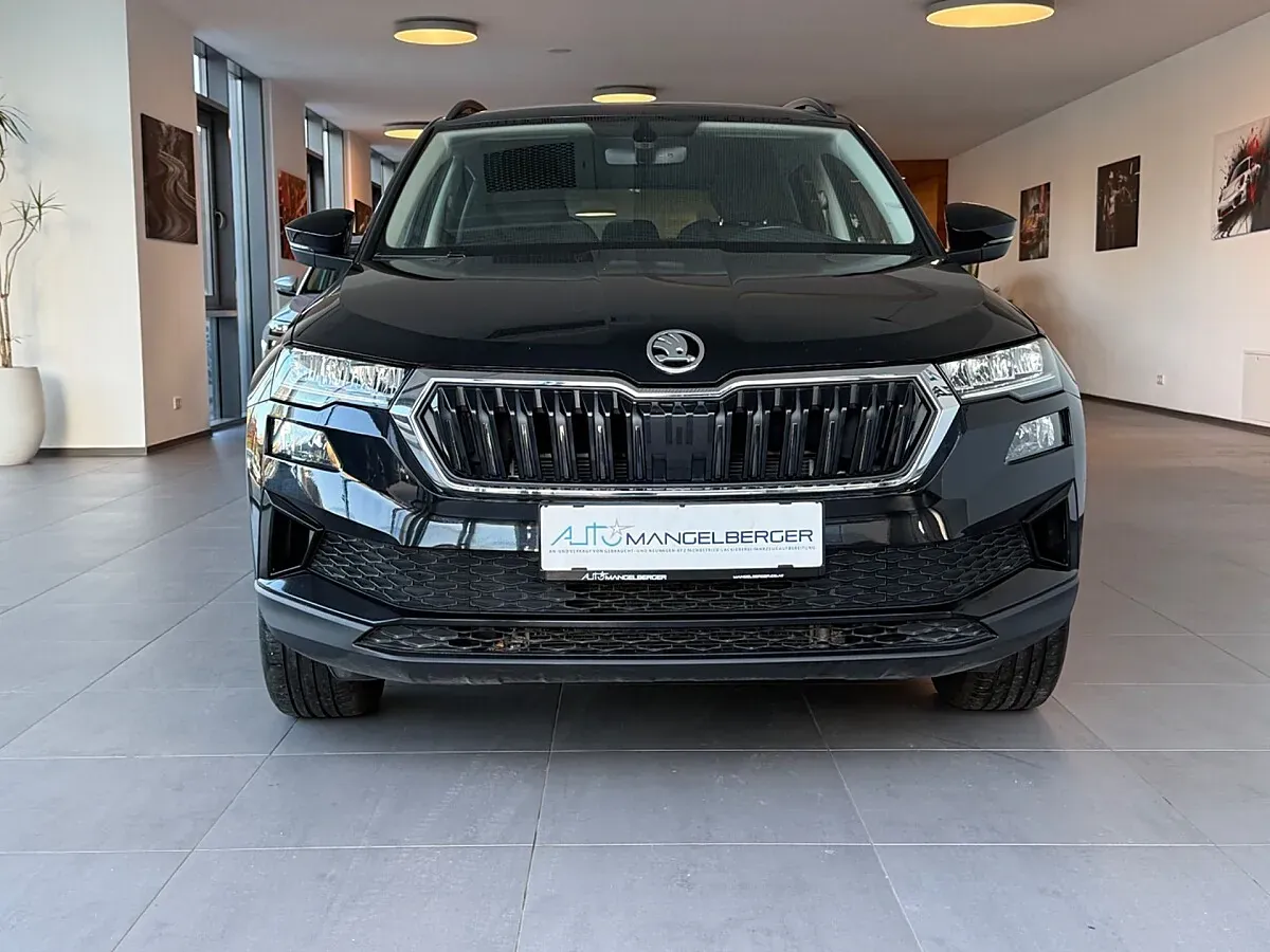 Skoda Karoq 2023 photo 2