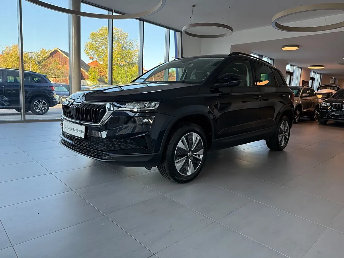 Skoda Karoq 2023 photo 3