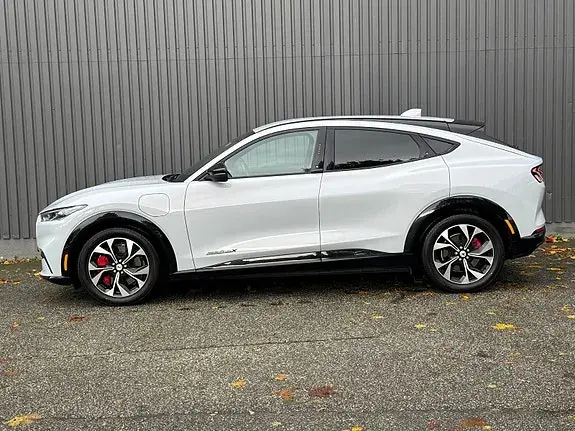 Ford Mustang Mach-E 2022 photo 3