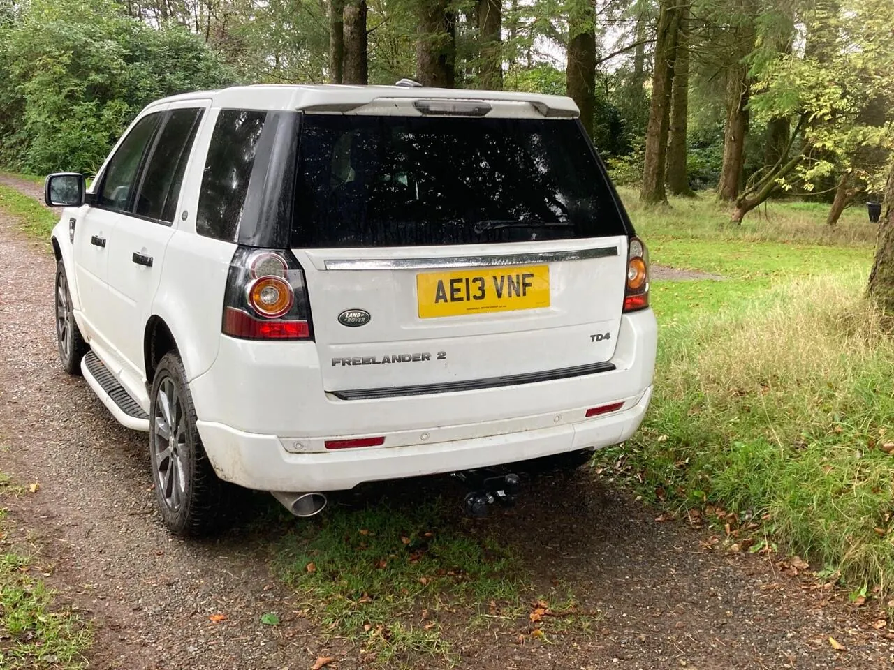 Land Rover Freelander 2 2013 photo 2