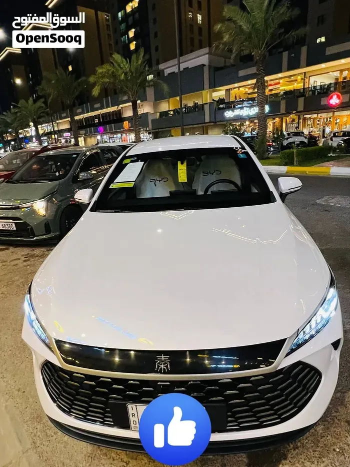 BYD Other