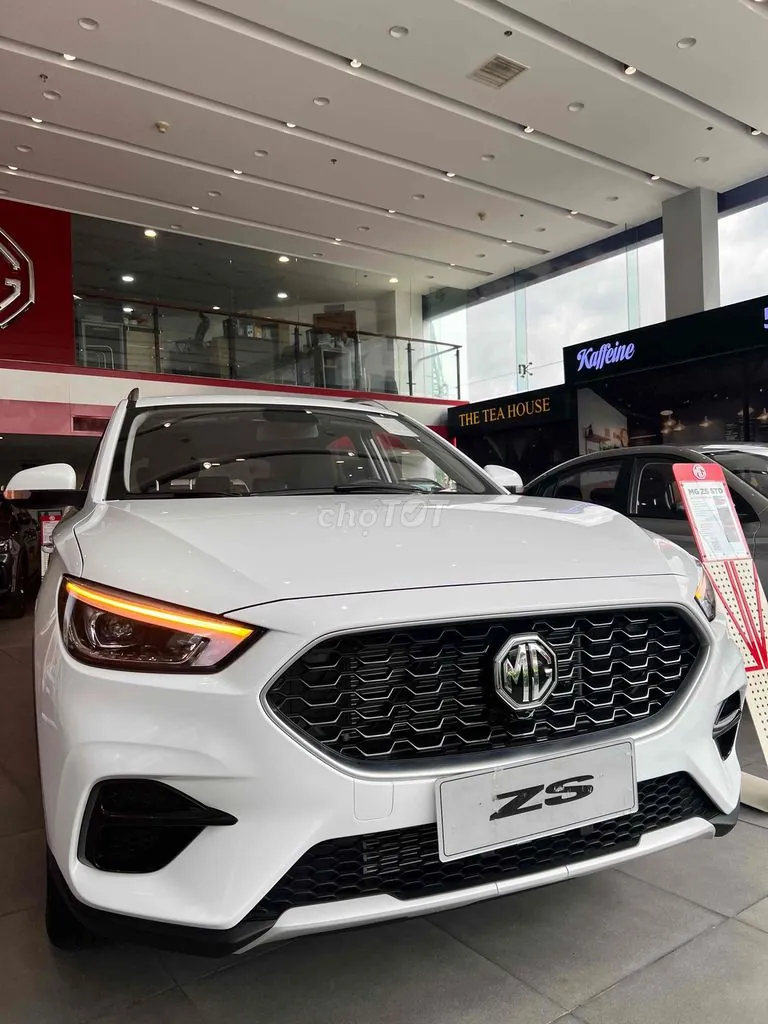MG Zs 2025 photo 4