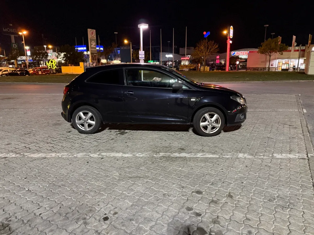 Seat Ibiza 2010 photo 2