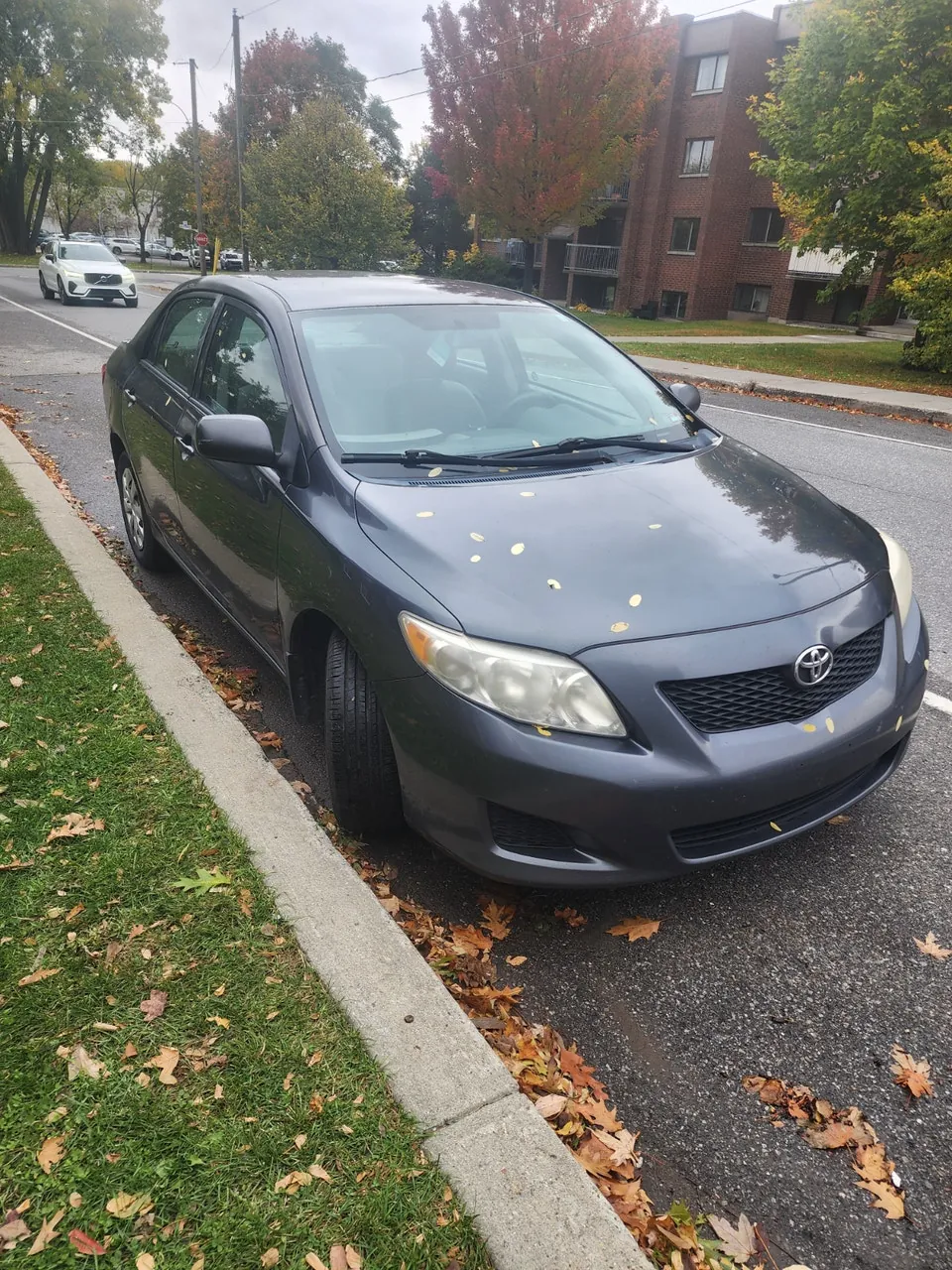Toyota Corolla 2010 photo 2