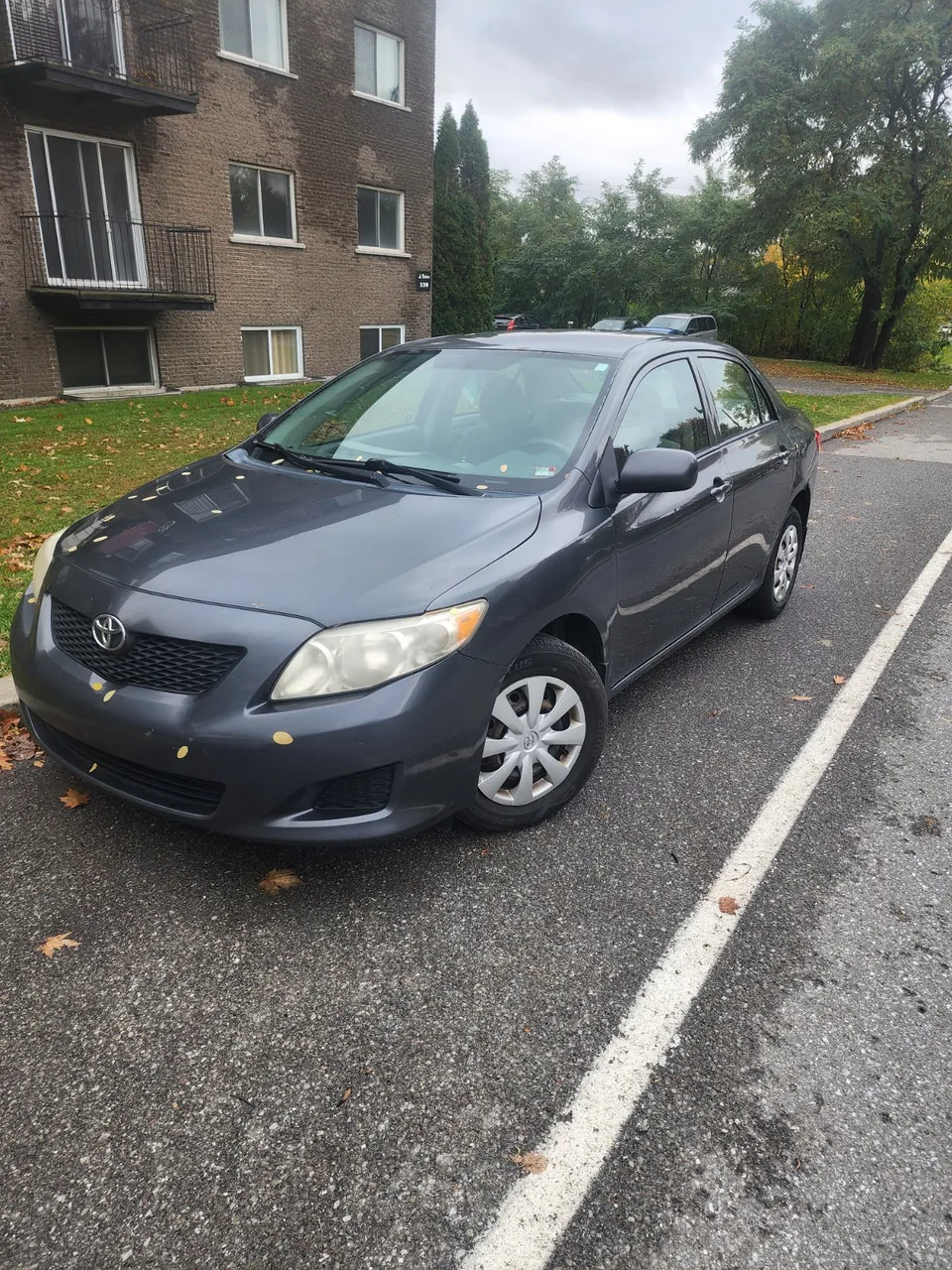 Toyota Corolla 2010 photo 4