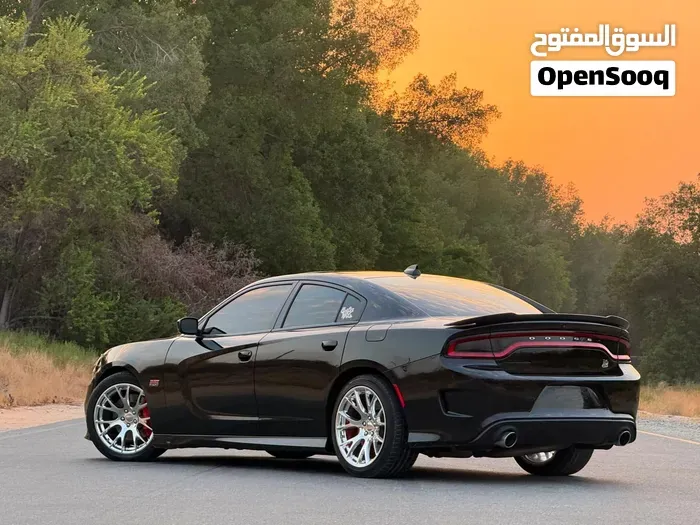 Dodge Charger 2021 photo 2