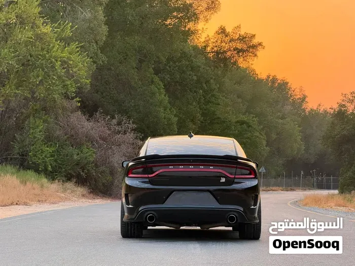 Dodge Charger 2021 photo 3