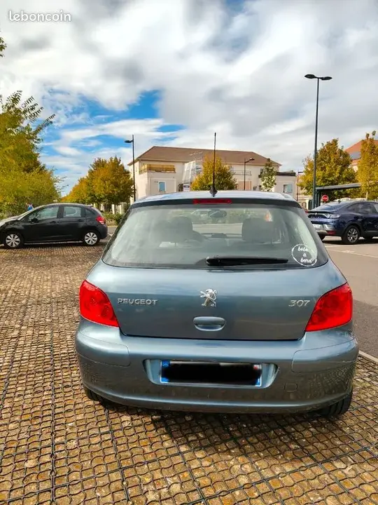 Peugeot 307 2007 photo 4
