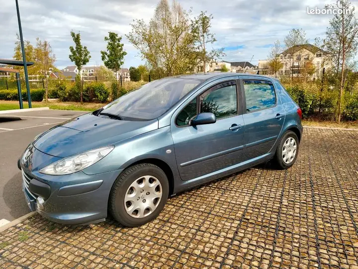 Peugeot 307 2007 photo 2