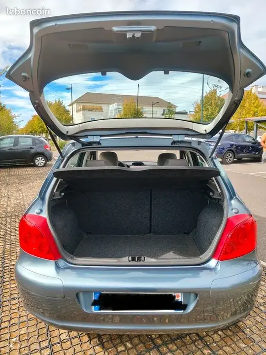 Peugeot 307 2007 photo 5