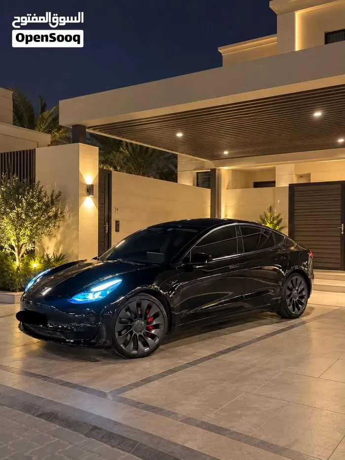 Tesla Model 3 2021 photo 5