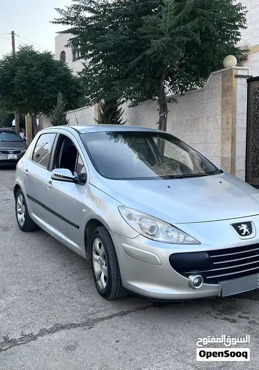 Peugeot 307 2007 photo 5