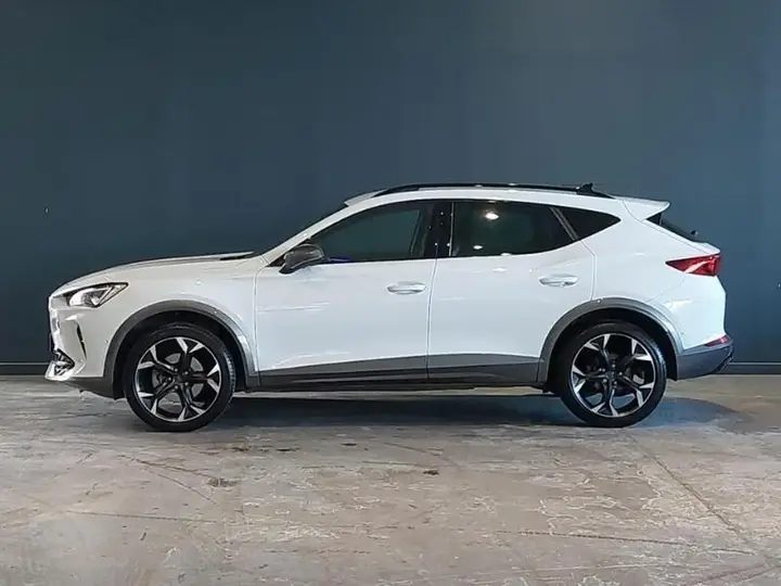 Cupra Formentor 2023 photo 4