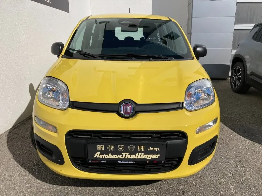 Fiat Pandina photo 3