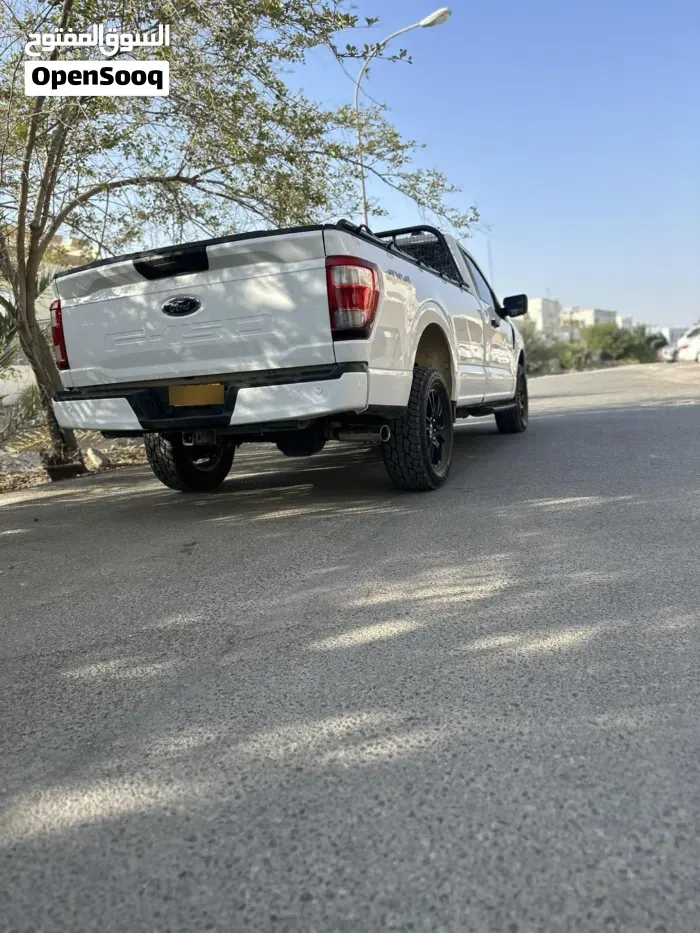 Ford F-150 2022 photo 3