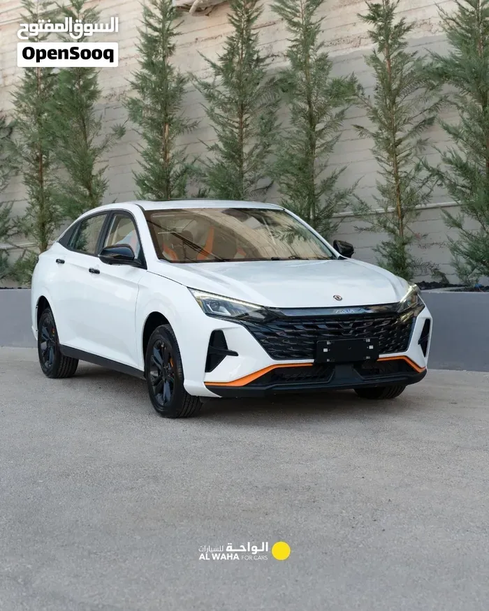 Dongfeng Shine