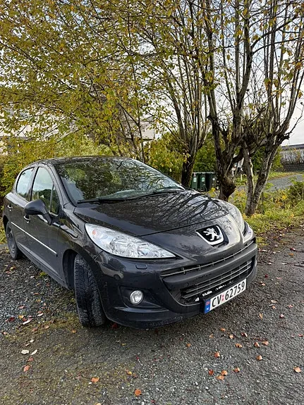 Peugeot 207 2011 photo 3