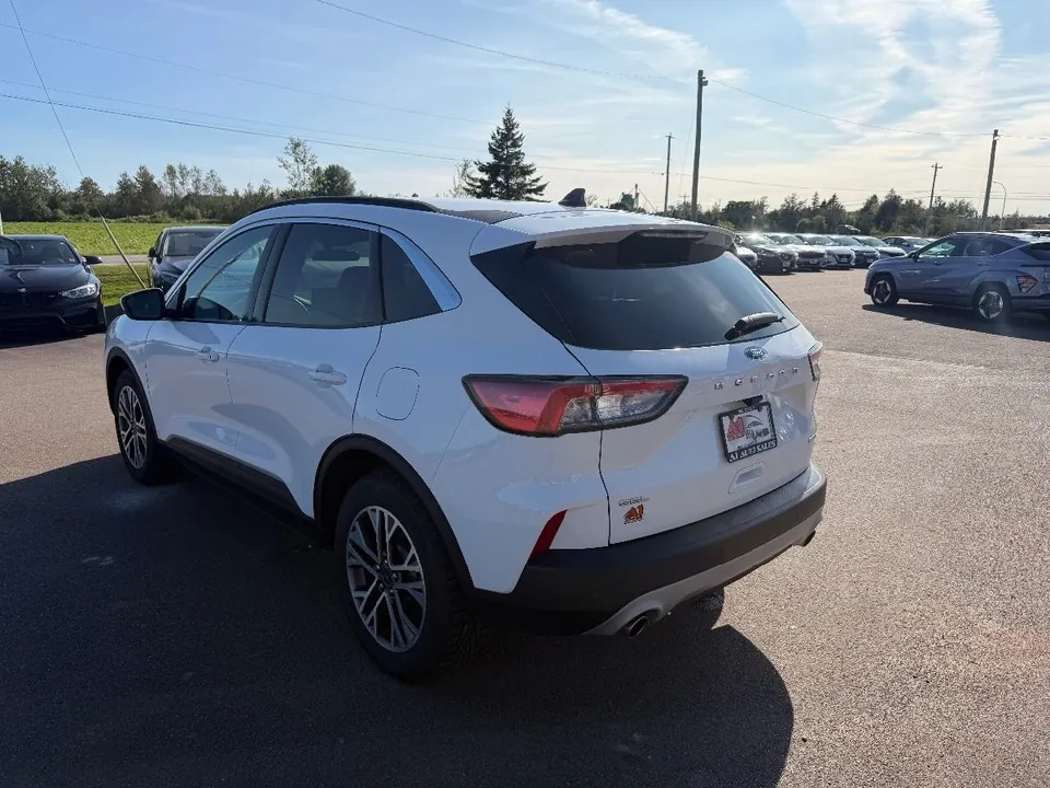 Ford Escape 2020 photo 4