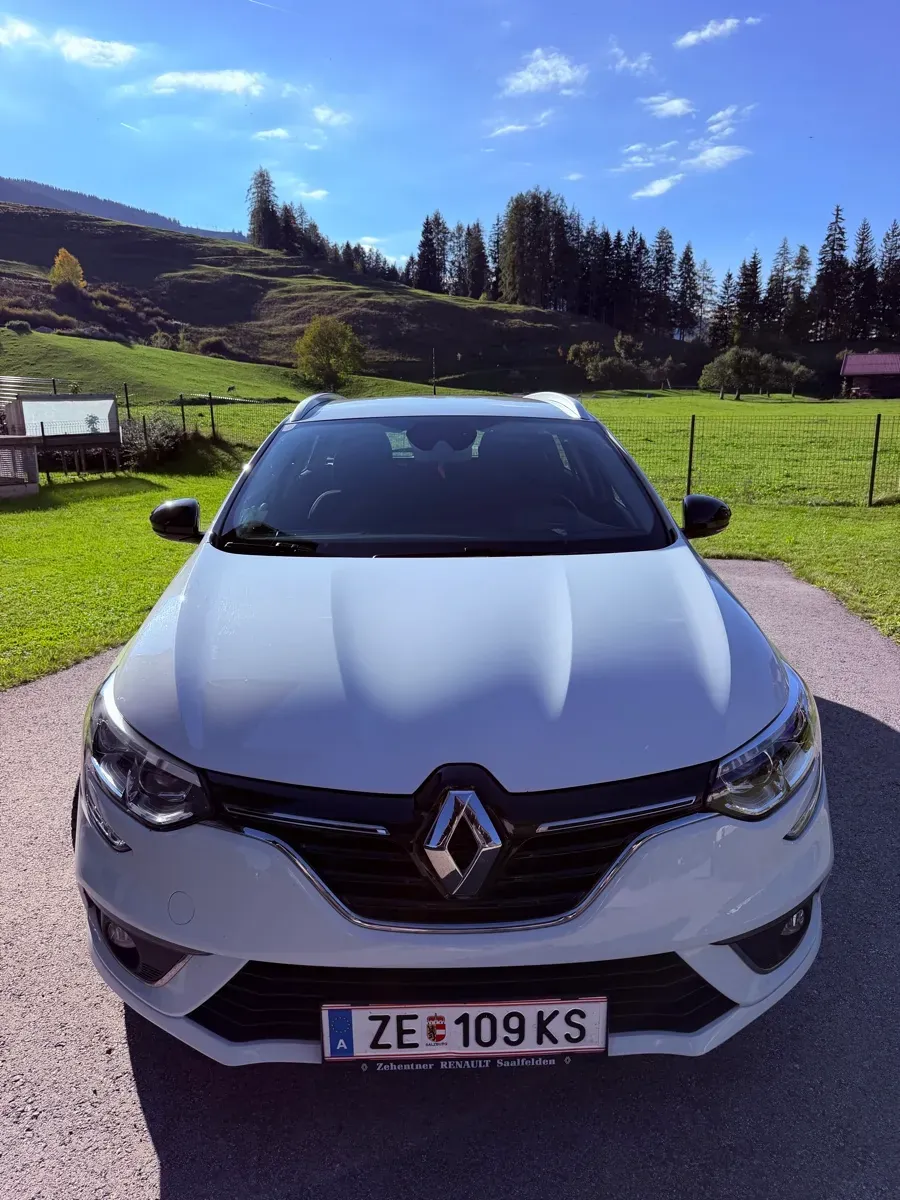 Renault Megane 2019 photo 3