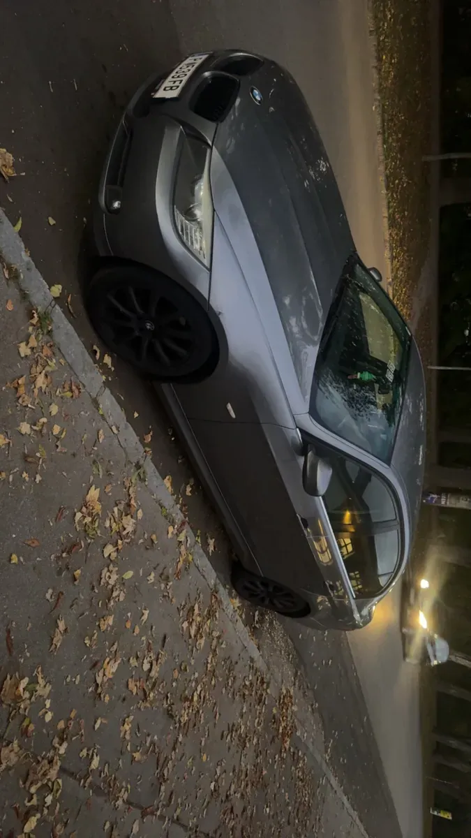 BMW 3 Series 2011 photo 2