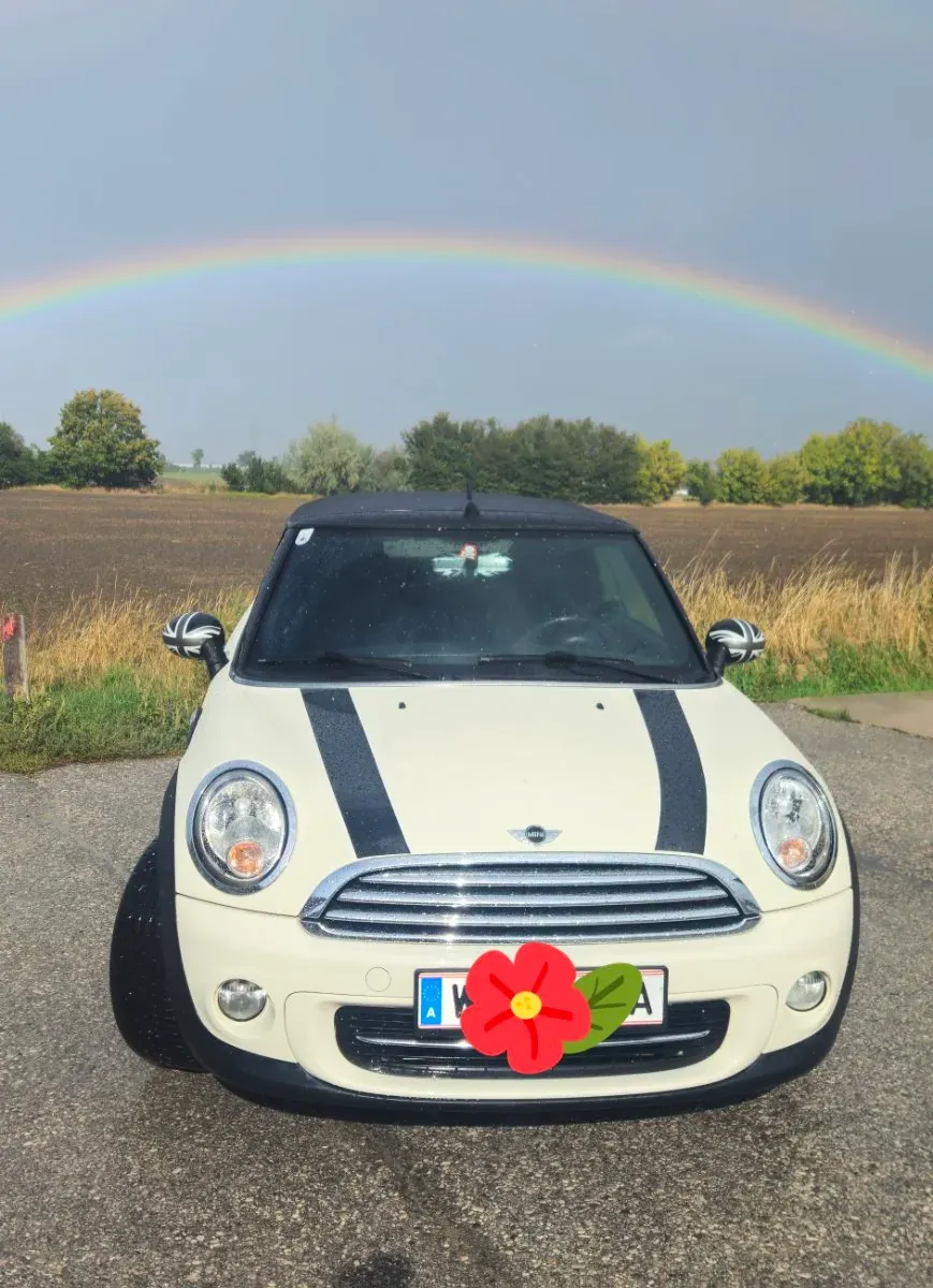 Mini Cabrio