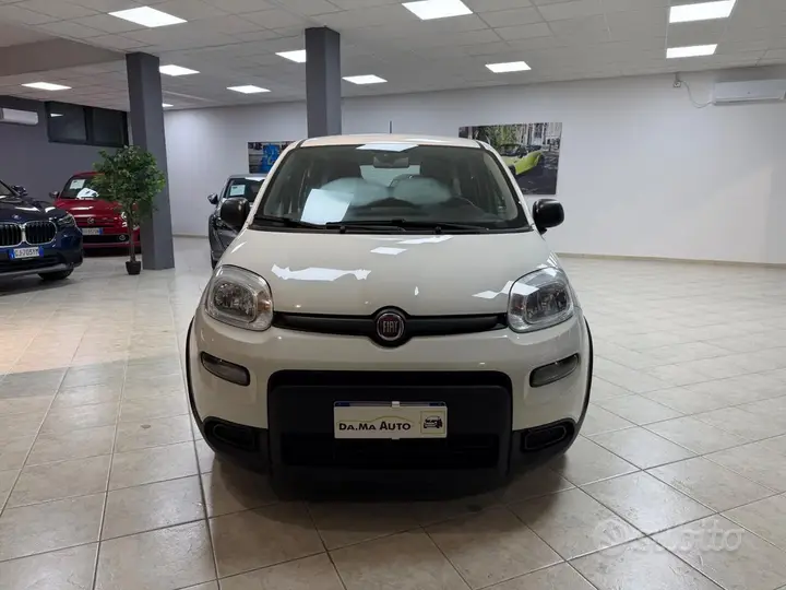 Fiat Panda 2023 photo 2