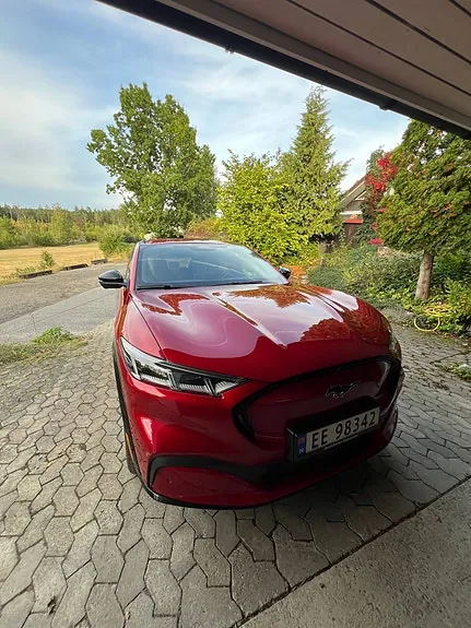 Ford Mustang Mach-E 2021 photo 3