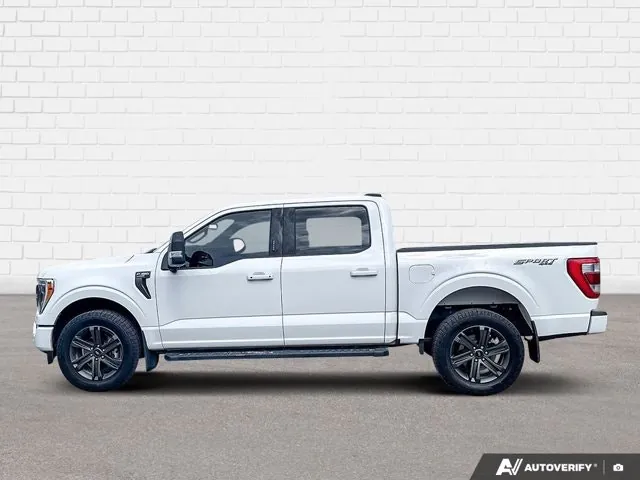 Ford F-150 2023 photo 3