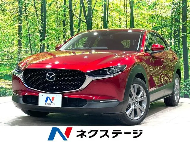 Mitsubishi Cx-30