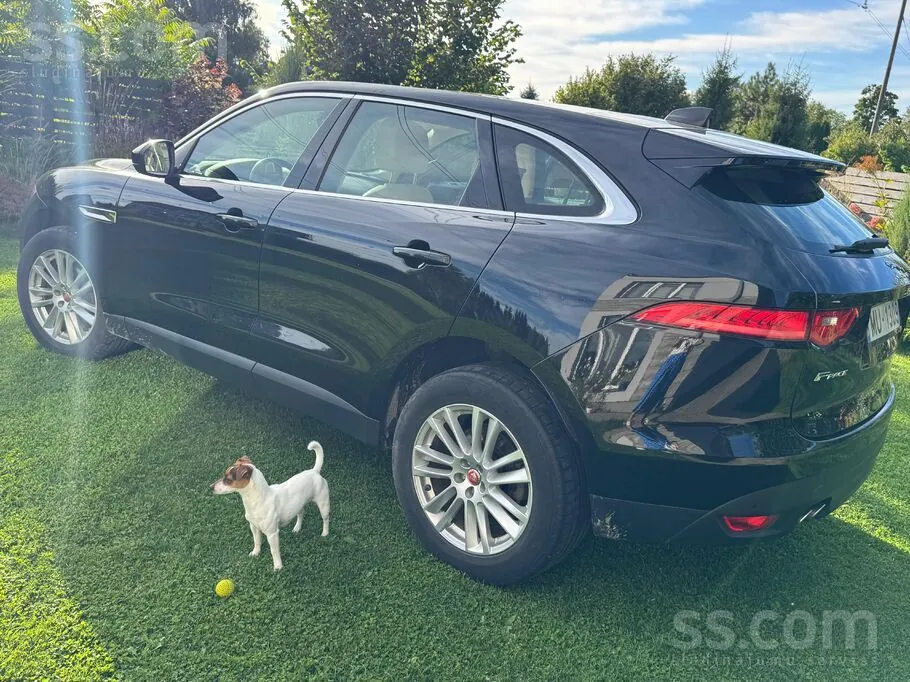 Jaguar F-Pace 2021 photo 4