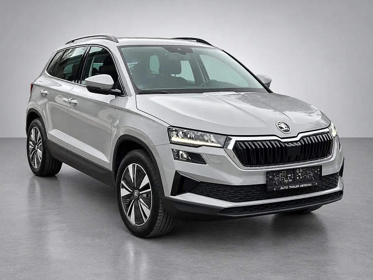 Skoda Karoq 2022 photo 2