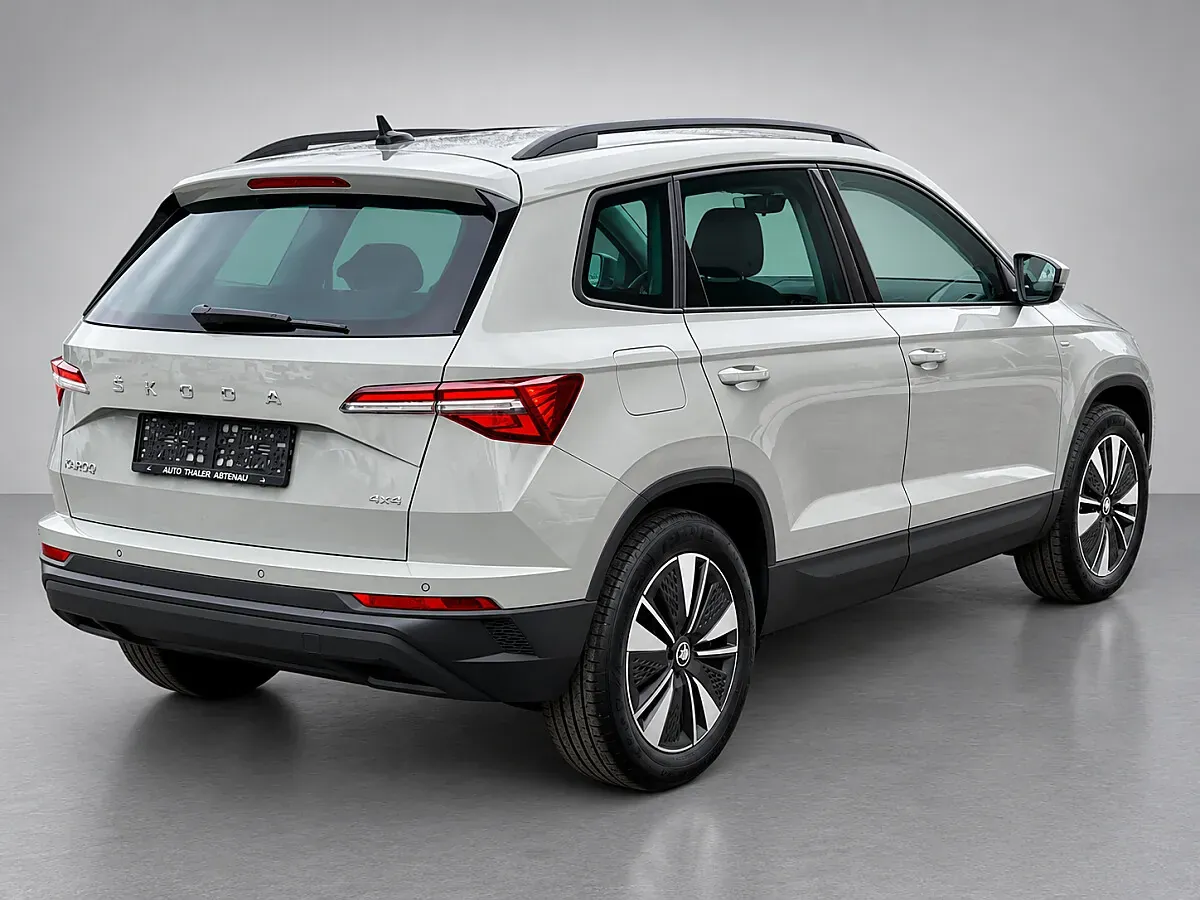 Skoda Karoq 2022 photo 3