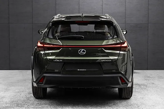 Lexus Ux300E 2021 photo 3