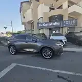 Lexus Nx 2024 photo 5
