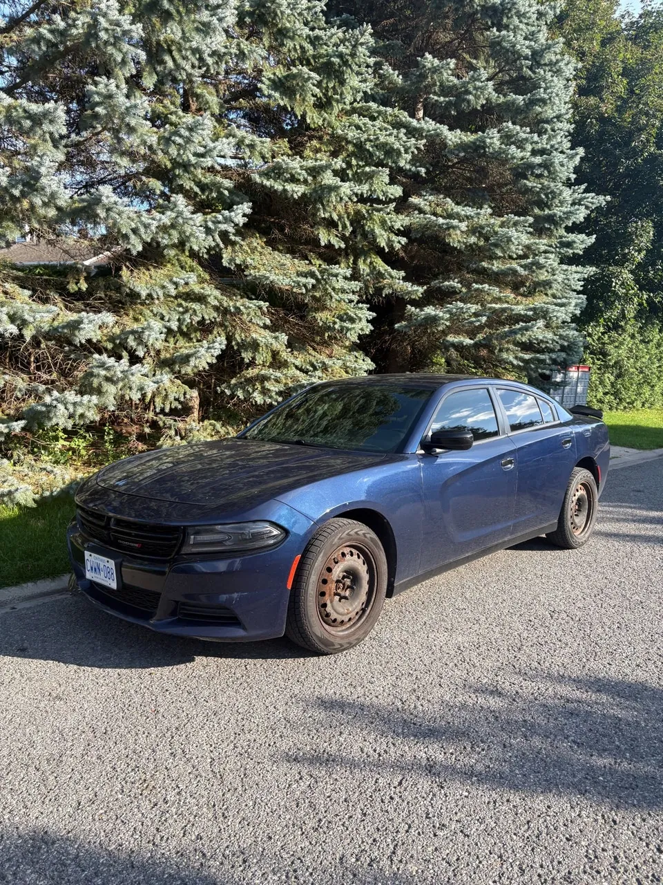 Dodge Charger 2019 photo 2