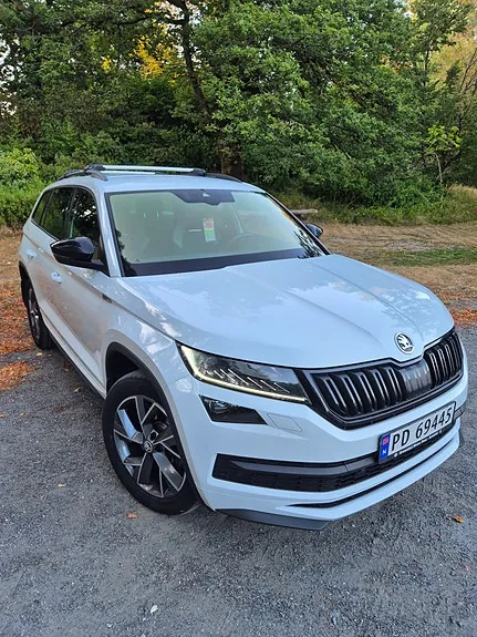 Skoda Kodiaq 2020 photo 4
