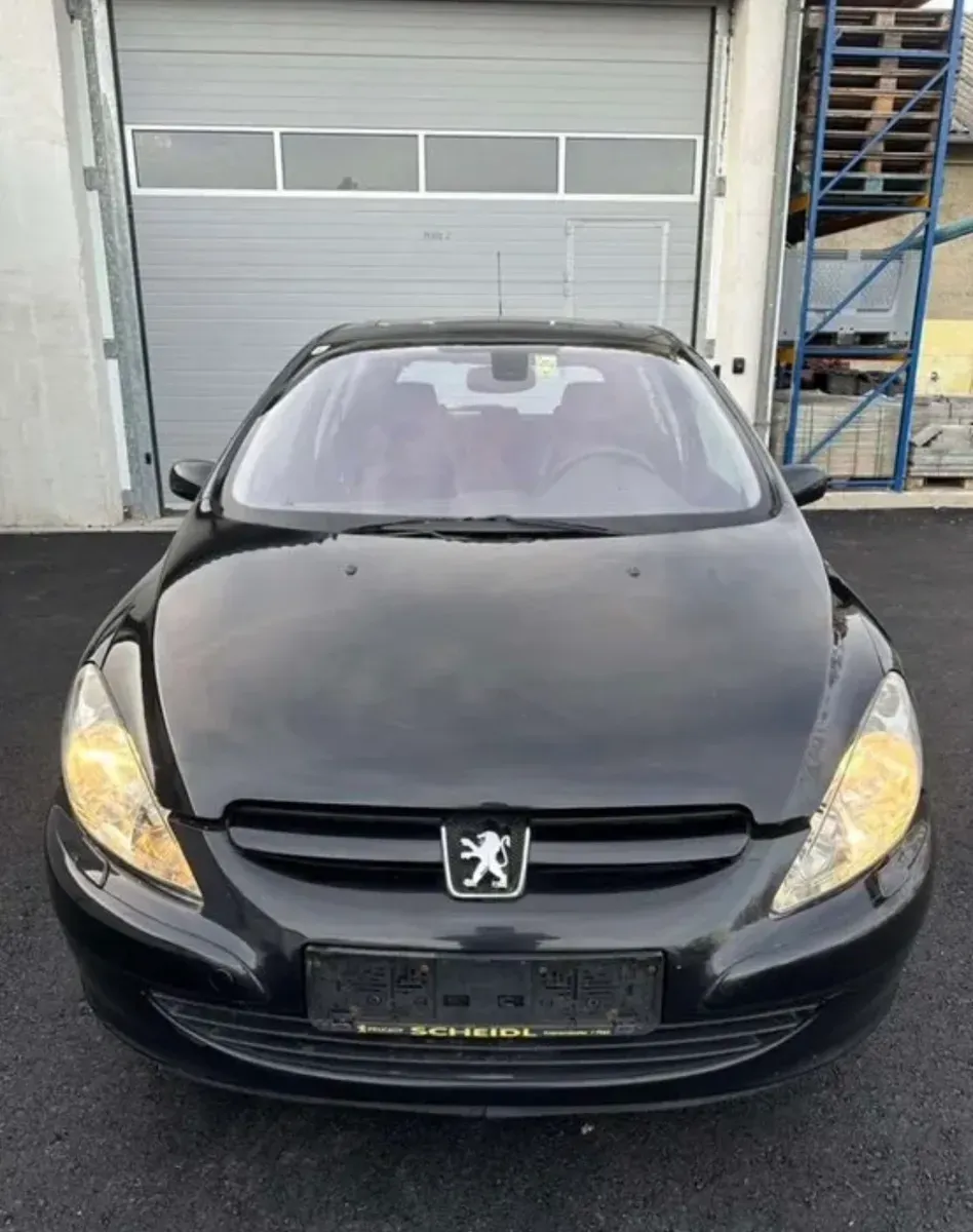 Peugeot 307 2005 photo 3